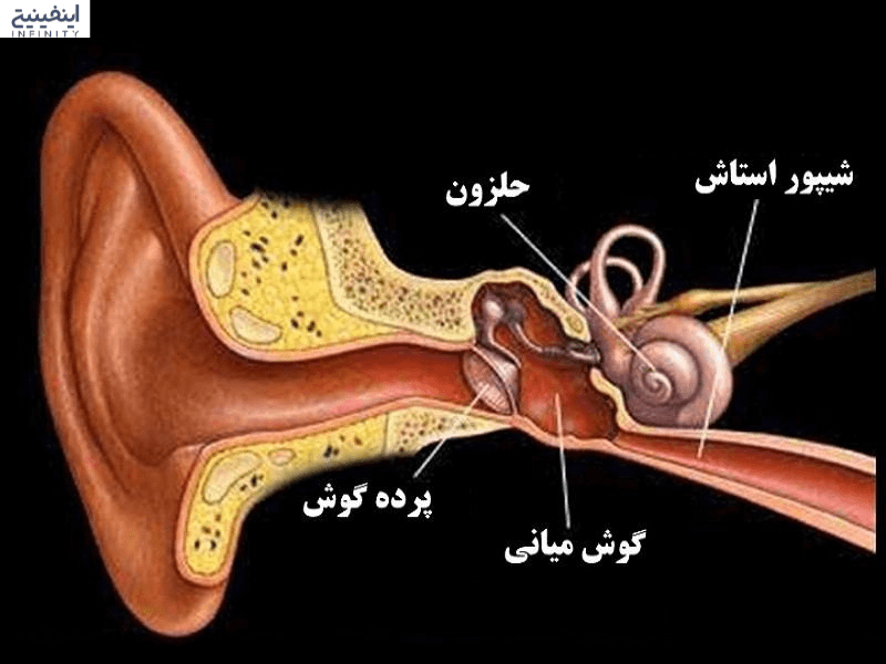 مهارت شنیداری