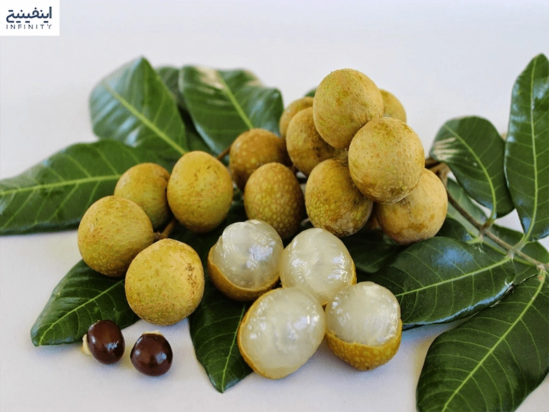 میوه چشم گربه یا لونگان