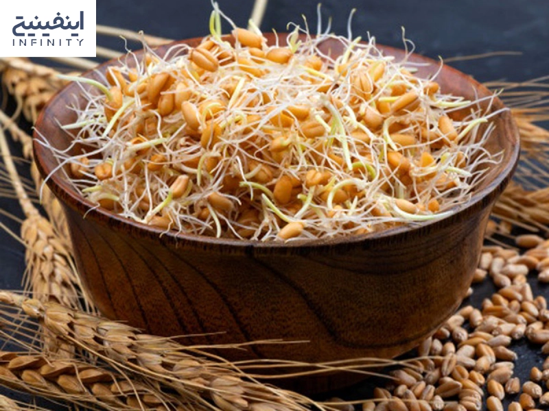 طرز تهیه و مواد لازم برای درست کردن جوانه گندم