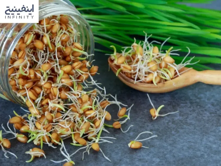 خواص و نحوه مصرف جوانه گندم برای چاقی صورت
