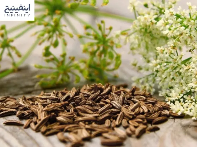 کاهش وزن 100 درصدی با زیره; روش های مصرف زیره برای لاغری