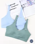 نیم تنه فلامنت Y00294 - 3