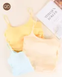 کراپ تاپ پاستلی y00483