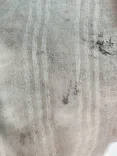 شال سزار OppsiS00539 - 17
