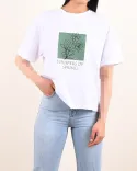 تیشرت بهارا C00407