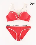 ست سوتین هارنس Y00584 FASHION - 2